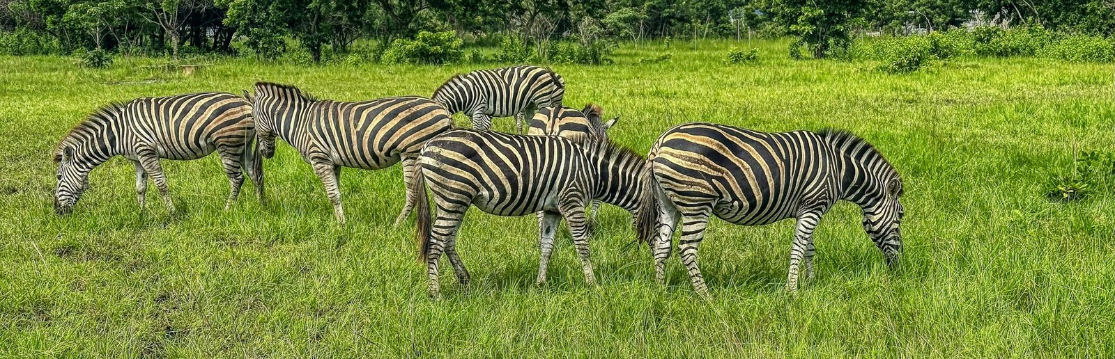 shai hills ghana 1