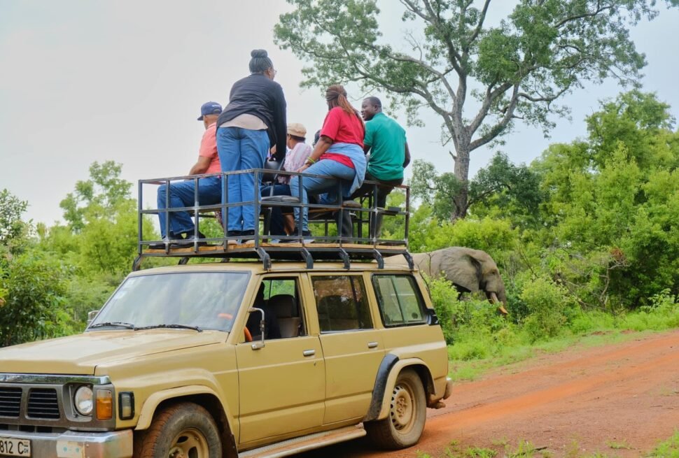 Ghana Luxury Tours: A Guide to Exclusive West African Travel - Mole National Park - Ghana