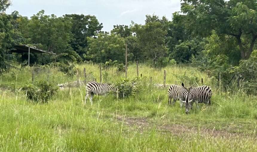 Ghana Africa Tourist Attractions: A Practical Travel Guide