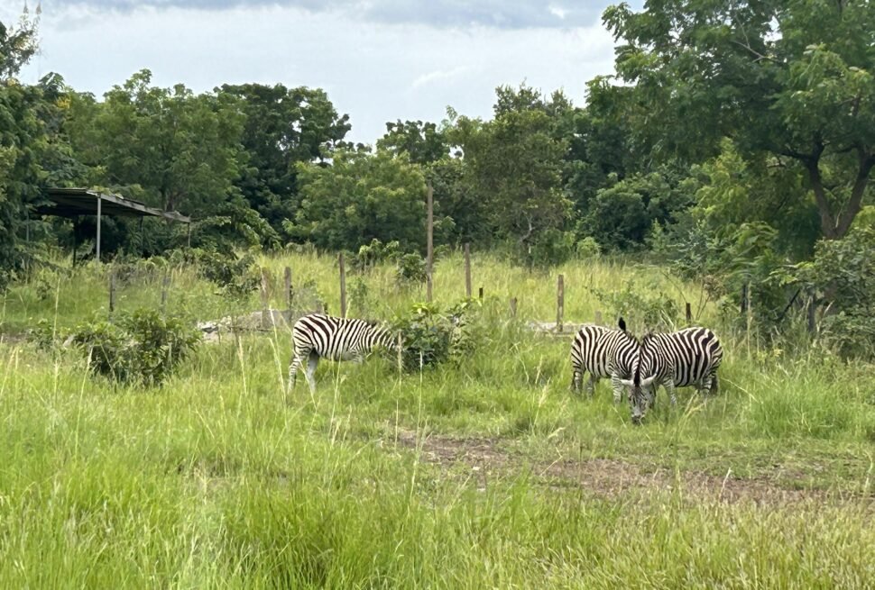 Ghana Africa tourist attractions - Shai Hills - Best of Africa Travels
