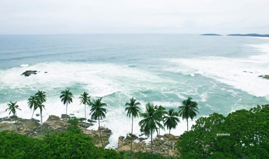Travel Insurance Comparison: A Guide for West African Trips