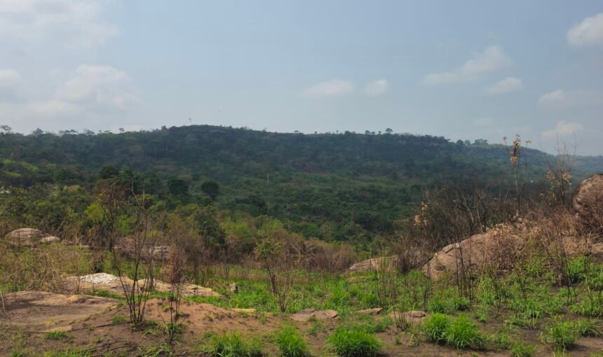 Travel News Today: Essential Updates for West Africa Travelers