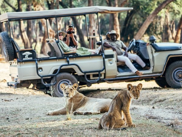 Africa travel and tours: Expert guide to planning your safari