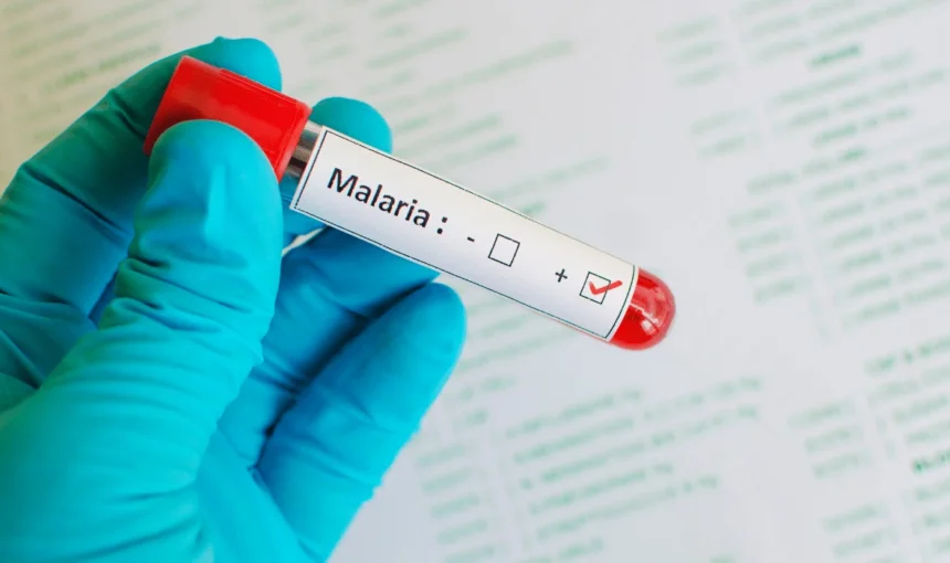 Ghana malaria prophylaxis: A complete guide for travelers