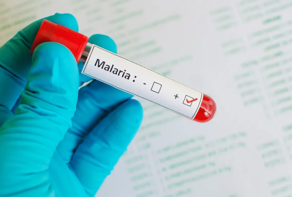 Ghana malaria prophylaxis