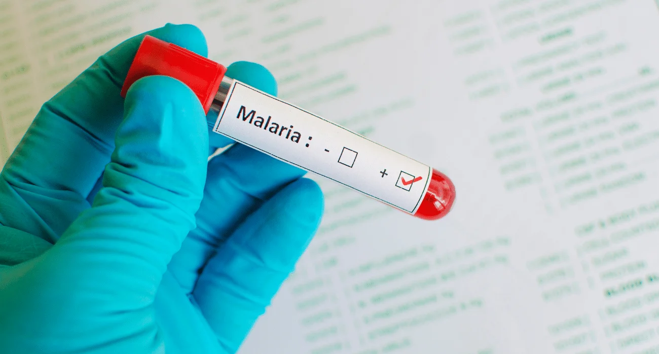 Ghana malaria prophylaxis