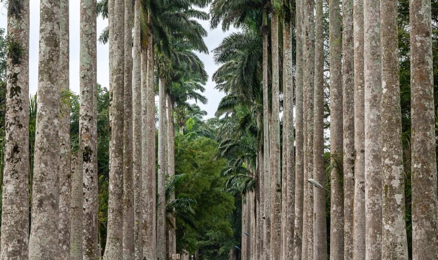 Ghana beautiful places: A Complete Guide for Travelers