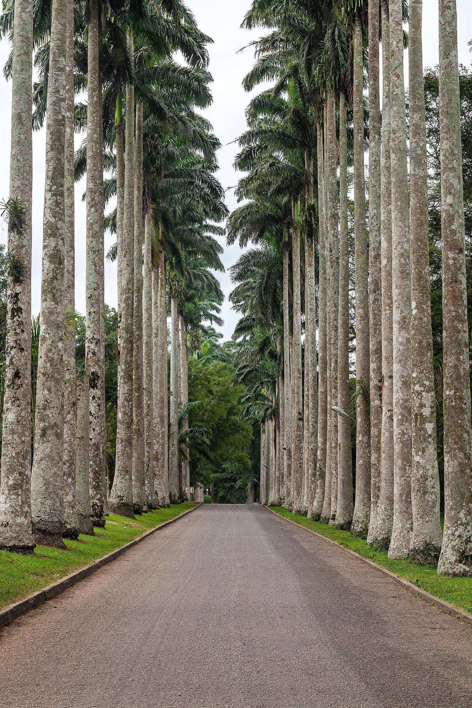 Ghana beautiful places - Aburi Botanical Gardens - Best of Africa Travels