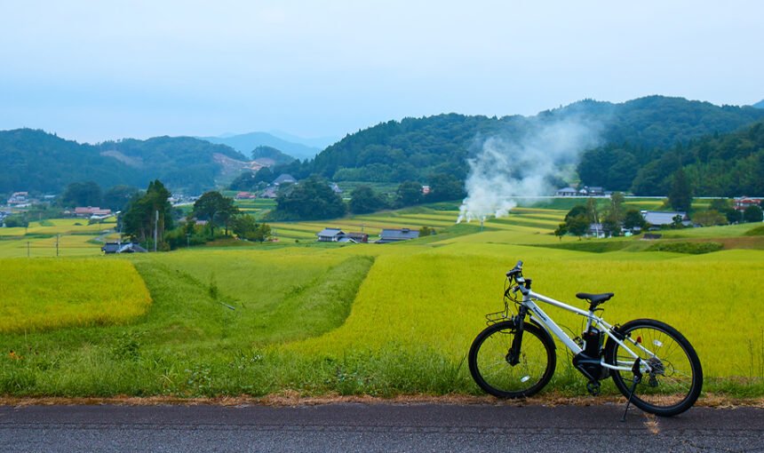 Japan travel news: Essential updates for your upcoming trip