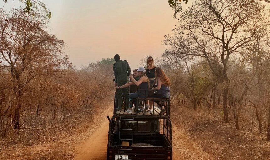 Best time to visit Mole National Park for elephant sightings