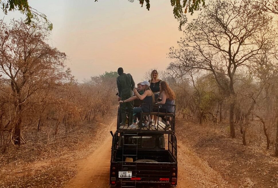 Best time to visit Mole National Park for elephant sightings